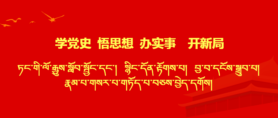 玛如乡最新招聘信息详解及概览