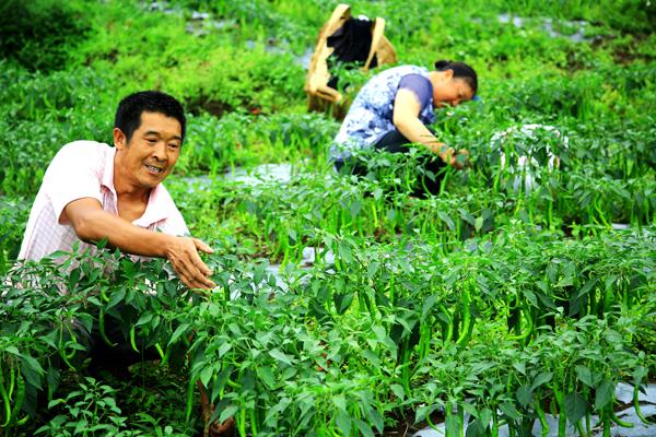 电线电缆 第5页