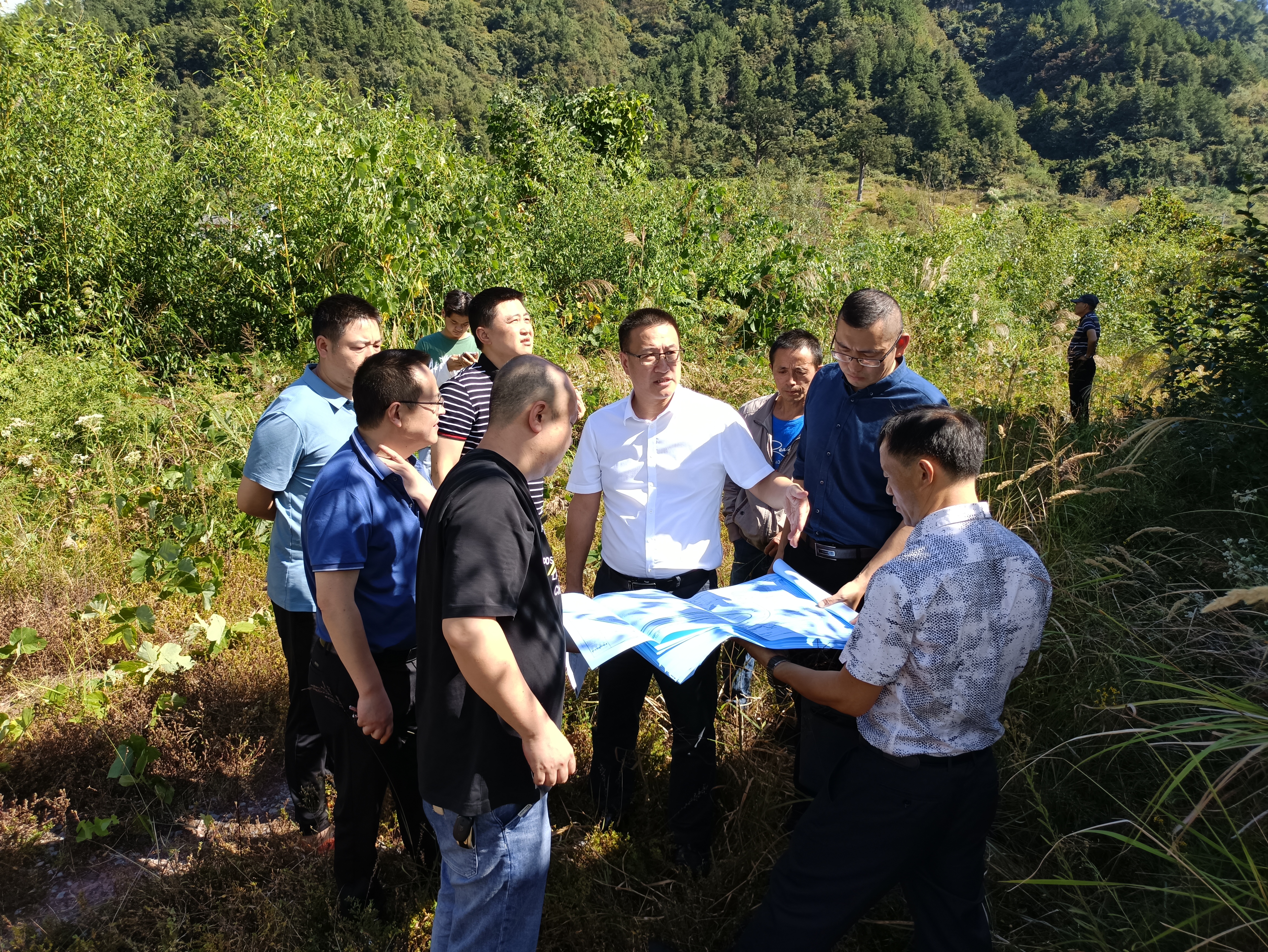 石柱土家族自治县农业农村局最新动态报道