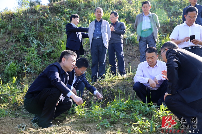 高寨镇最新项目，地区发展新动力引领前行