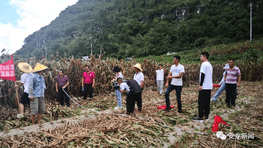 丘北县农业农村局新项目推动农业现代化助力乡村振兴