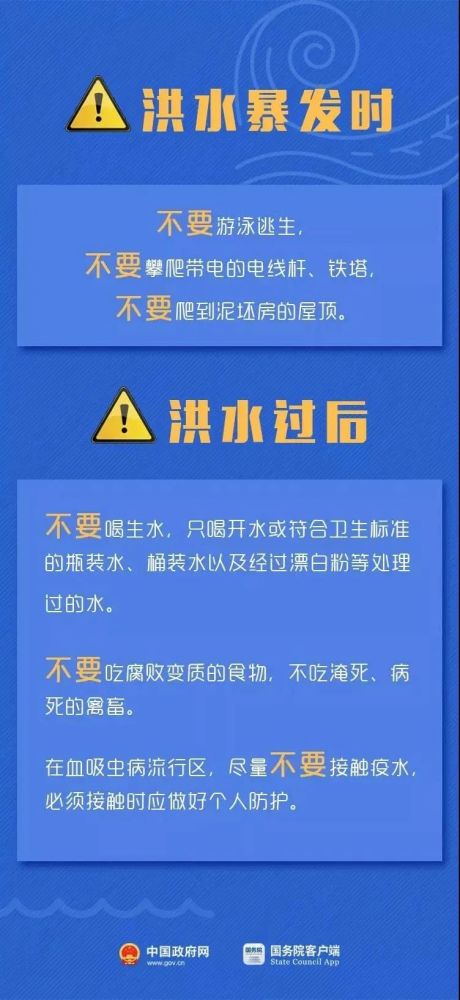 尼德村最新招聘信息深度解读