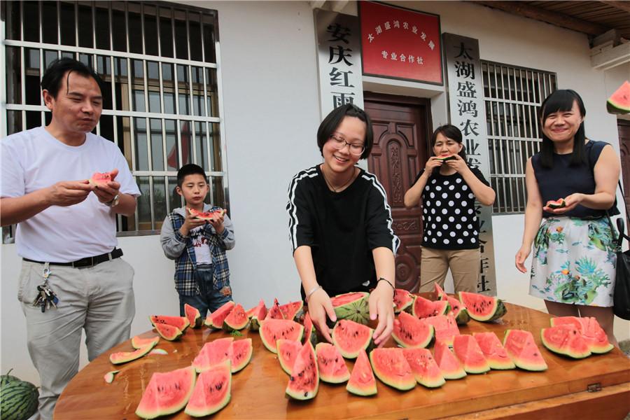 徐桥镇未来繁荣共融的最新发展规划揭秘